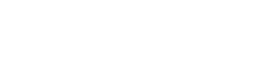 First Horizon Logo White