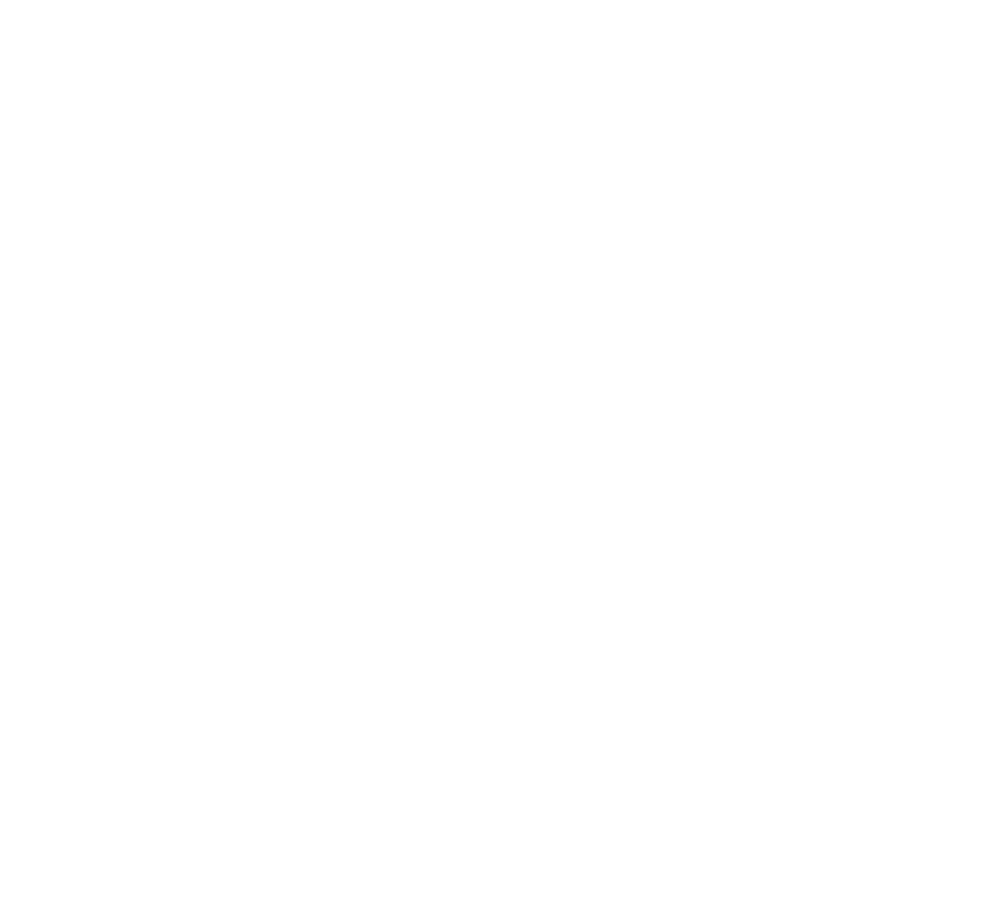 Leonardo